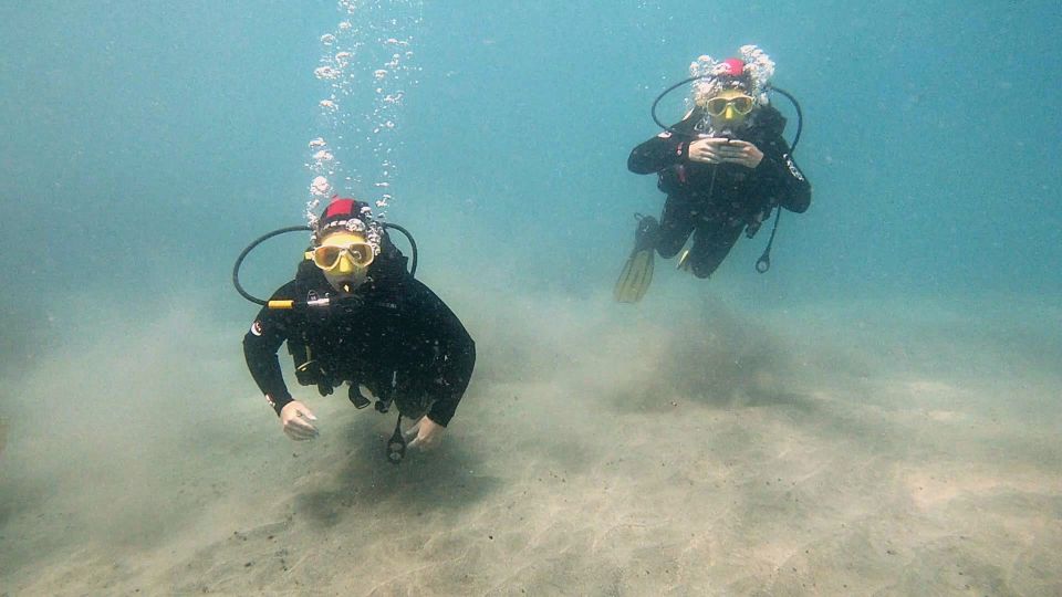 Fuerteventura: Introduction to Scuba Diving - Who should book this session (and who should pause)