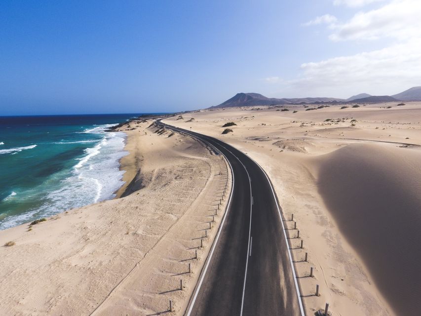 Fuerteventura: Island Tour by Minibus - Aloe Vera Farm Stop: A Practical Look at Fuerteventura’s Plants
