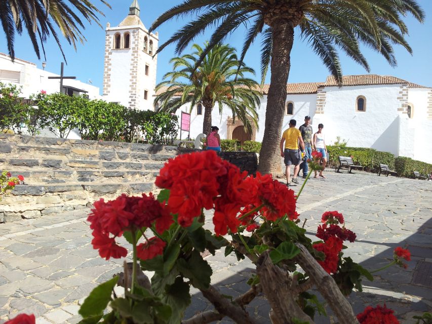 Fuerteventura: Island Tour by Minibus - Who Should Book This Minibus Tour (and Who Might Skip It)
