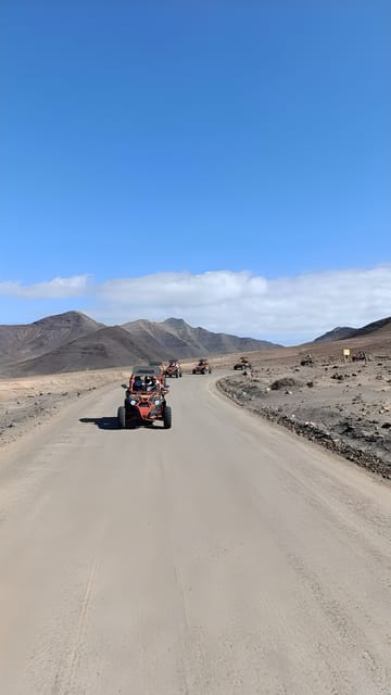Fuerteventura: Jandía Natural Park & The Puertito Buggy Tour - Through Jandía Natural Park: views, wildlife, and muddy reality