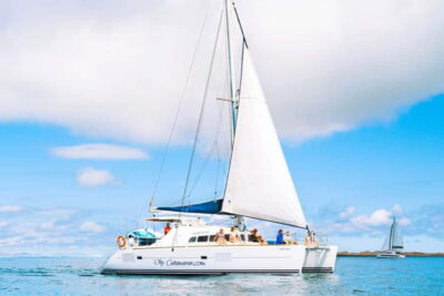 Fuerteventura: Lobos Island Catamaran Cruise with Lunch - On the water: snorkeling, kayaks, and stand-up paddleboards