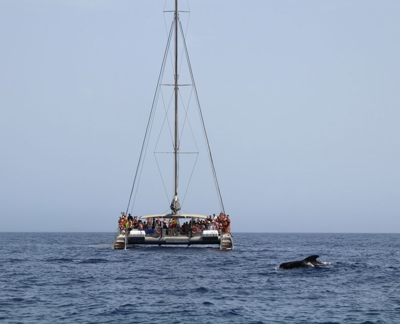 Fuerteventura: Magic Catamaran Trip with Food and Drinks - The Jandía Swim Stop: Time to Get Wet (Carefully)