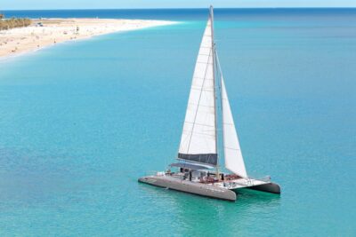 Fuerteventura: Magic Catamaran Trip with Food and Drinks - The Dolphin and Whale Watching Search Off Fuerteventura