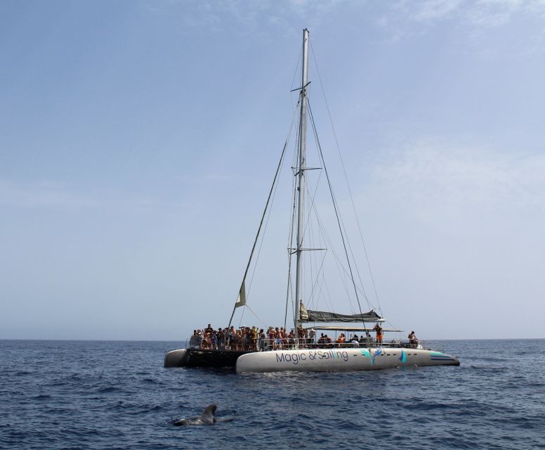 Fuerteventura: Magic Catamaran Trip with Food and Drinks - Onboard Mozarabic Chicken and the Open-Bar Lunch Reality