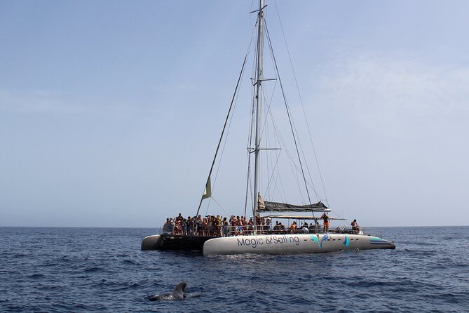 Fuerteventura: Magic Select Catamaran Trip with Food & Drinks - Price and Value: Why $93.12 Can Make Sense for the Right Trip Style