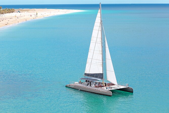 Fuerteventura: Magic Select Catamaran Trip with Food & Drinks - Dolphin and Whale Search: What to Expect When the Sea Is the Star