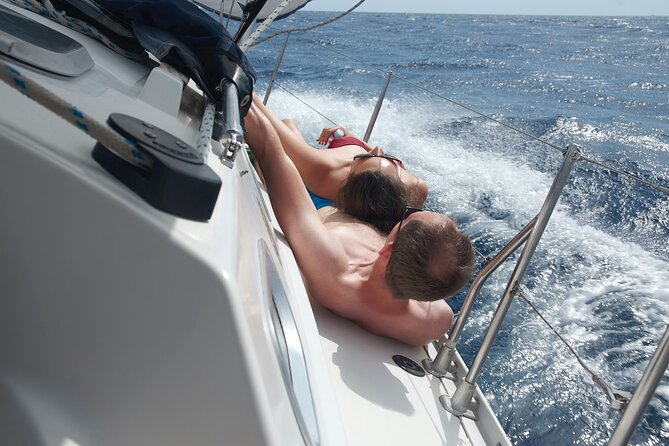 Fuerteventura Sailing Trip from Morro Jable - Dolphins and other marine life: what to expect (and what not to count on)