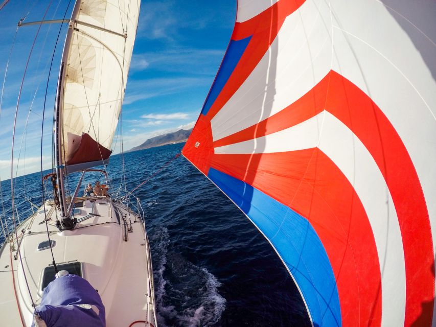 Fuerteventura: Sailing with Snorkeling and Dolphin Watching - Wildlife Watching From a Crew That Actively Looks