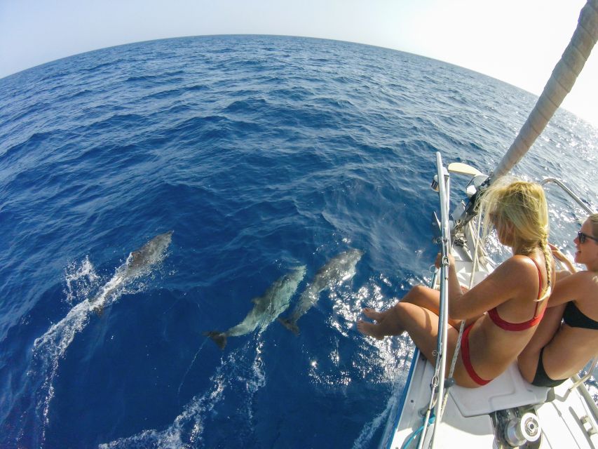 Fuerteventura: Sailing with Snorkeling and Dolphin Watching - Food and Drinks on Deck: Local Tapas Beats Typical Tour Snacks