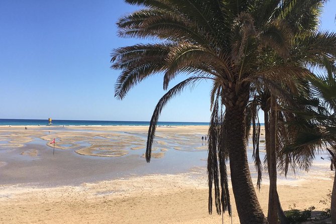 Fuerteventura South Exclusive Tour - Ajuy natural caves and the black beach: where the day slows down