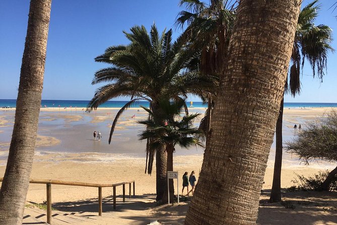 Fuerteventura South Exclusive Tour - Sotavento de Jandia: white sand, wind, and real beach time