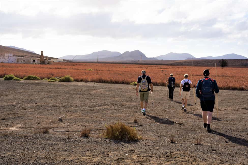 Fuerteventura: volcanic hike to the crater edge - The van ride and start: getting into hiking mode fast