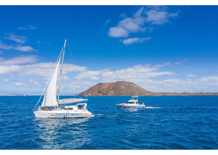 Fuerteventura: Whale & Dolphin Watching Boat Tour with Guide - Key Moments That Make This Sail Worth It