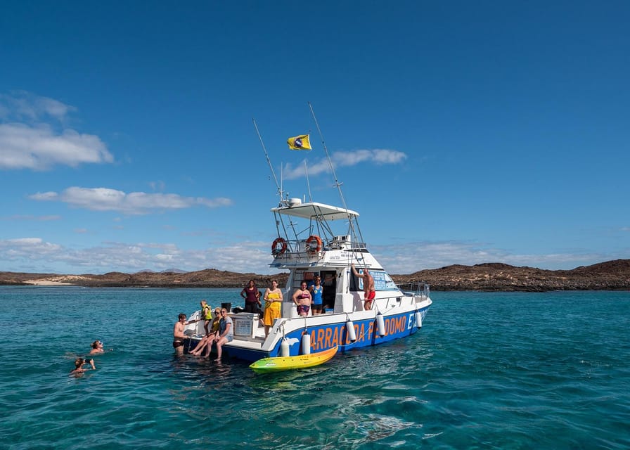 Fuerteventura: Whale & Dolphin Watching Boat Tour with Guide - How the Crew Finds Wildlife (and Keeps It Respectful)