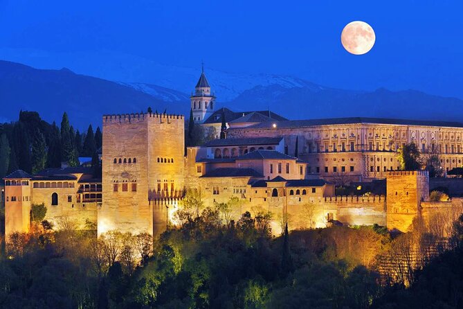 Full Alhambra Tour with Official Guide - Nasrid Palaces: the Court of the Lions and Hall of the Ambassadors