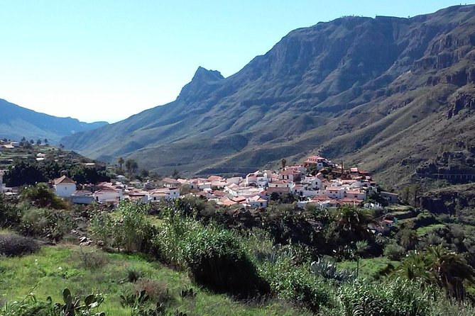 Full Day Across the Island Tour from Las Palmas - Pico de las Nieves: Roque Nublo and Roque Bentayga in One Shot