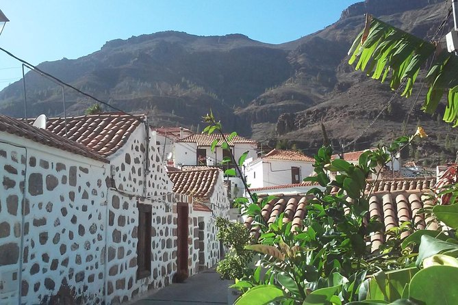 Full Day Across the Island Tour from Las Palmas - Fataga: Palm-Canyon Vibes and an Easy Lunch Plan