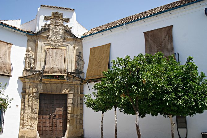 Full-Day Cordoba Tour from Granada: Mezquita Visit Included - Who this tour suits best (and who should look elsewhere)