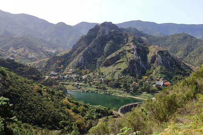 Full Day Guided Tour to La Gomera from Tenerife - Garajonay National Park: walking inside UNESCO’s cloud-forest mood
