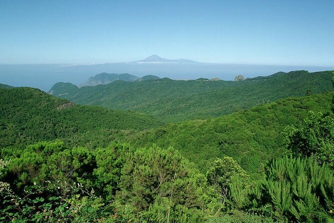Full Day Guided Tour to La Gomera from Tenerife - Lunch and timing: what a long day feels like (and how to plan for it)