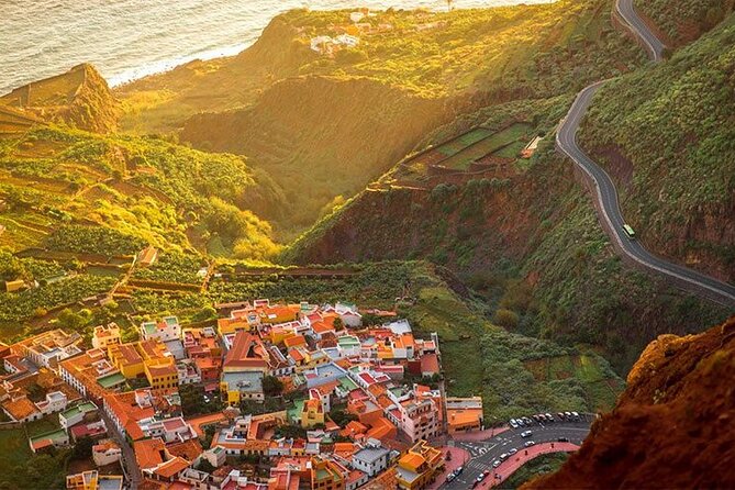 Full Day Guided Tour to La Gomera from Tenerife - Price and value: what $132.75 buys you