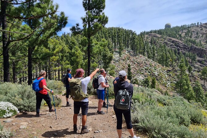Full day Hiking Gran Canaria Peaks of Gran Canaria - Key things you should know before you go