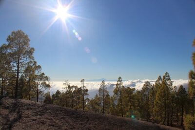 Full day Hiking Gran Canaria Peaks of Gran Canaria - The hike itself: distances, elevation, and what changes by day