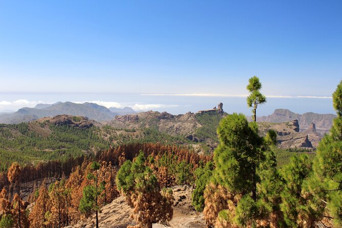 Full day Hiking Gran Canaria Peaks of Gran Canaria - The best kind of lunch stop: timing and food strategy