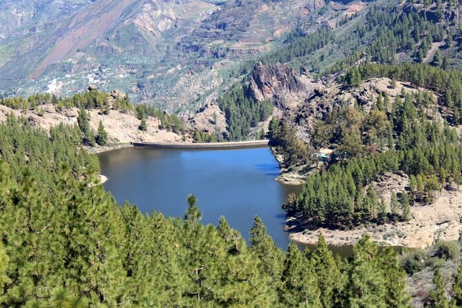 Full day Hiking Gran Canaria Peaks of Gran Canaria - Value check: why this costs about $84.66 and who gets the most out of it
