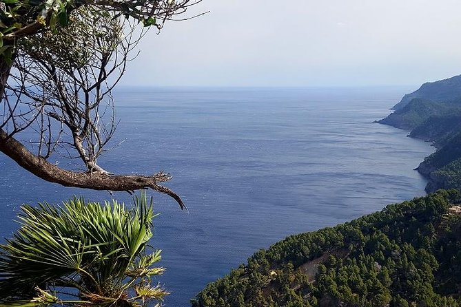 Full-Day Mallorca Caves Tour: Drach, Hams & Pearl Factory Visit - Porto Cristo beach and lunch reality check