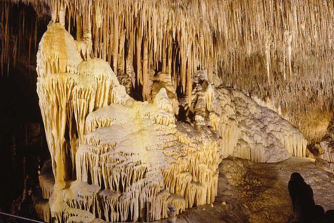 Full-Day Mallorca Caves Tour: Drach, Hams & Pearl Factory Visit - Who this tour fits best (and who should pass)