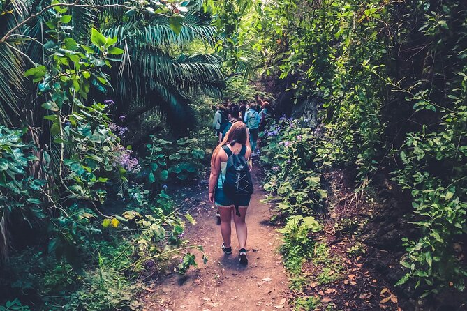 Full Day Rainforest Tour with Tasting and Swimming Time ツ - Quick hits before you go