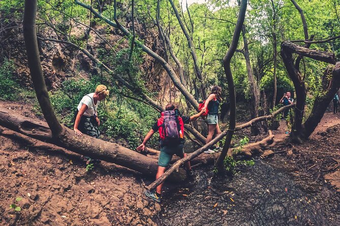 Full Day Rainforest Tour with Tasting and Swimming Time ツ - Eco-farm tasting: the lunch that makes the day feel complete