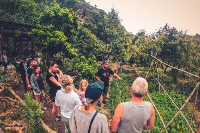Full Day Rainforest Tour with Tasting and Swimming Time ツ - The Azuaje Ravine laurel forest hike: wet feet, old spa ruins, endemic plants