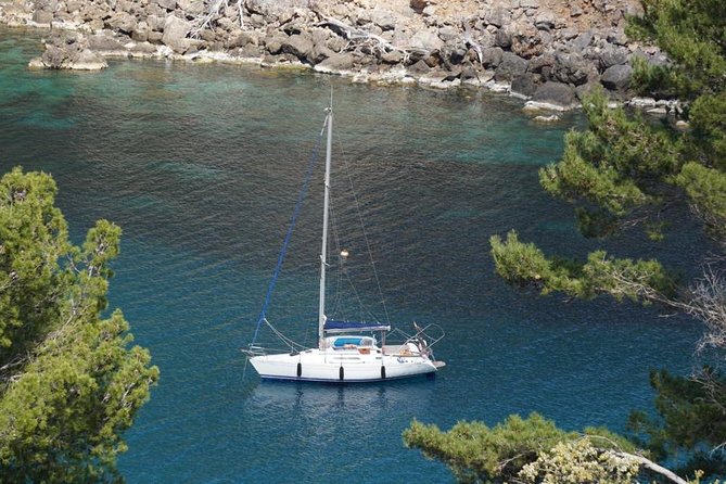 Full-day sailing excursion along the coast - Where it starts: FERGUS Style Soller Beach and a full day on purpose