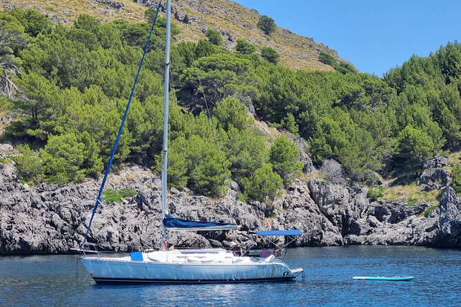 Full-day sailing excursion along the coast - Price and value: what $1,390.78 per group gets you
