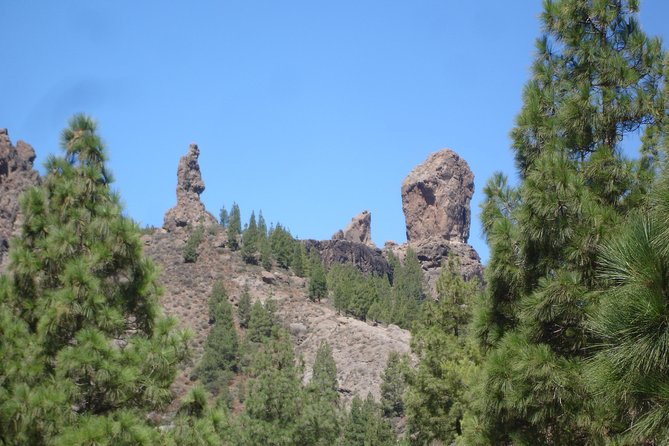 Full Day to Bandama Volcano, Center and High Peaks of Gran Canaria & Roque Nublo - Why this north-mountain day trip works (and saves you effort)