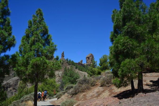 Full Day to Bandama Volcano, Center and High Peaks of Gran Canaria & Roque Nublo - Pico de las Nieves: the highest peak for canyon-and-sky views