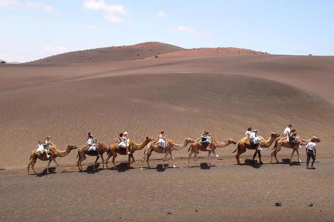 Full Day Tour to Timanfaya, Green Lagoon and La Geria - Pickup and Timing: The Part That Makes or Breaks Your Day