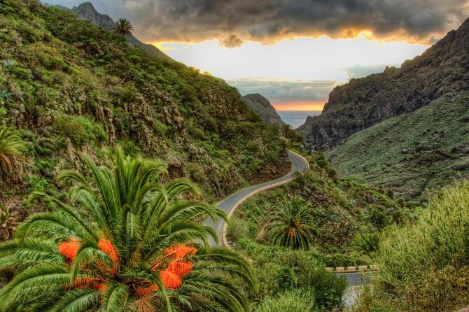 Full Day Tour with Certified Guide in Tenerife - Key highlights to know before you go