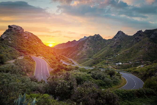 Full Day Tour with Certified Guide in Tenerife - A one-day Tenerife circuit that hits the big 4