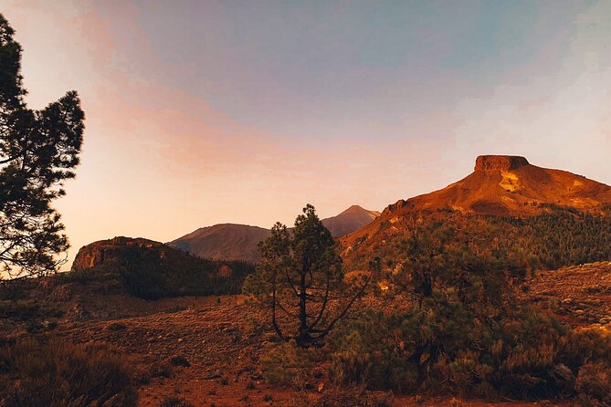 Full Day Tour with Certified Guide in Tenerife - Teide National Park and the Vilaflor break