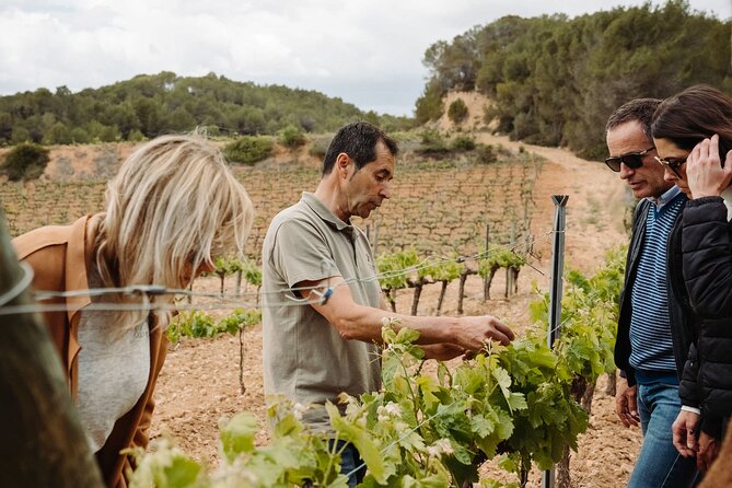 Full-Day Trip Barcelona to Montserrat Monastery & Cava Winery - Small-group pacing: why the day feels personal instead of rushed