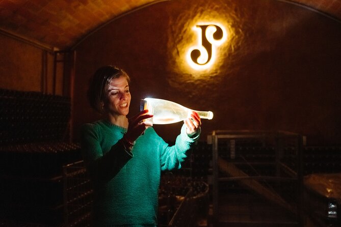 Full-Day Trip Barcelona to Montserrat Monastery & Cava Winery - Who this tour suits best (and who should think twice)