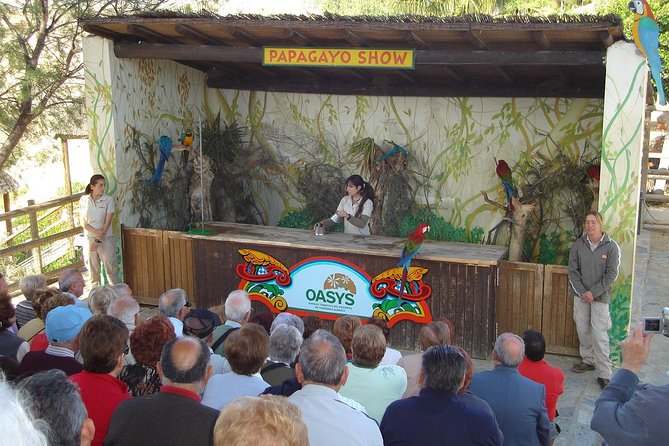 Full-Day Western Theme Park Tour of Mini Hollywood - Oasys - Pickup, Comfort, and Getting Your Bearings Fast