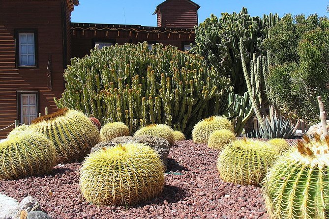 Full-Day Western Theme Park Tour of Mini Hollywood - Oasys - The Free Tabernas Desert Stop: Desert Views Without Extra Ticket Pressure