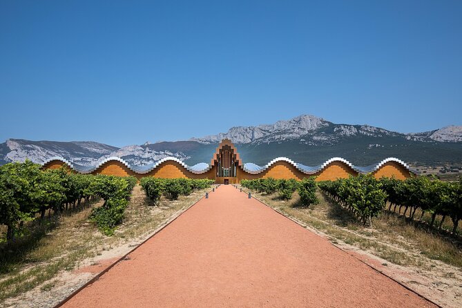 Full Rioja Wine Tour with Lunch from San Sebastian Private Tour - Laguardia: Medieval Walls, A Guided Village Walk, and Views Over Vineyards