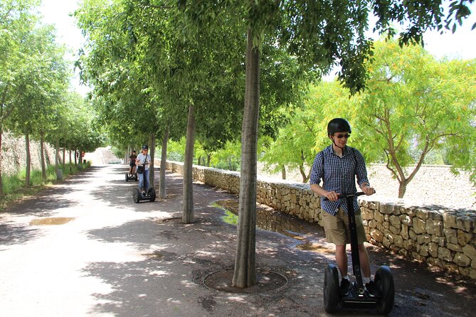 Fun Private Segway Tour in Valencia - Price, timing, and the planning rhythm in Valencia