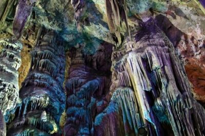 Gibraltar Day Trip from Seville - Upper Rock Nature Reserve and the Monkey Colony Rules