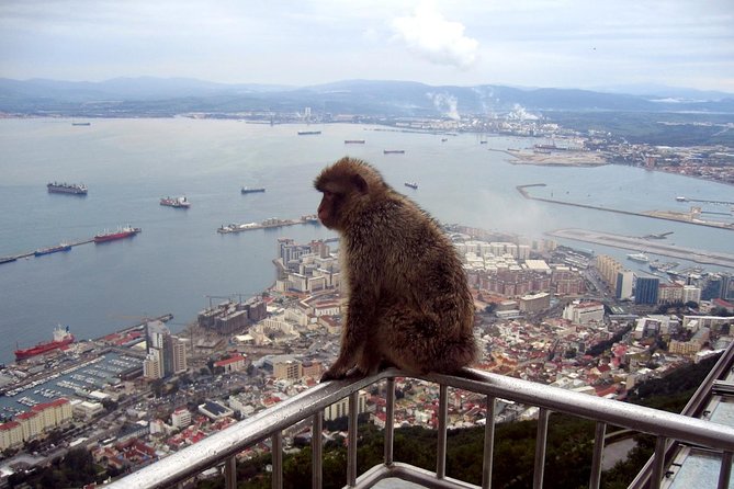 Gibraltar Express: Sightseeing Full Day Tour from Costa del Sol - Main Street free time: duty-free shopping and a realistic lunch window